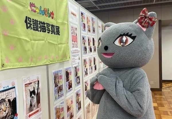 【東京都台東区】猫好きさんの祭典「にゃんだらけ20」が開催！お笑い猫ネタライブや猫の写真展を実施