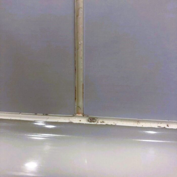 お風呂のコーキングに生えたカビが「一晩」で消えた！？こんなに簡単だったなんて♪