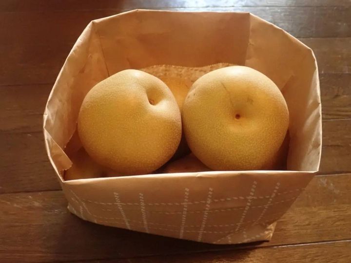 DAISO(ダイソー)：紙製ストッカー(4枚、チェック柄、FSC)