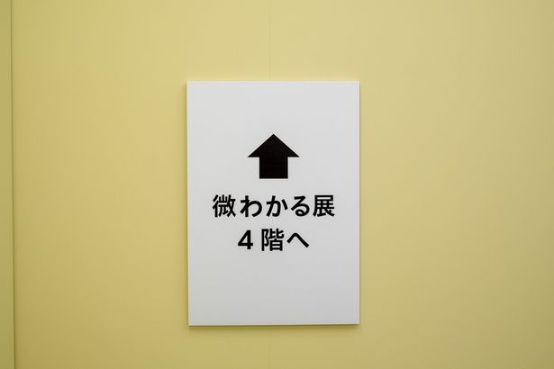 同じチケットで上のフロアの「微わかる展」も楽しめる