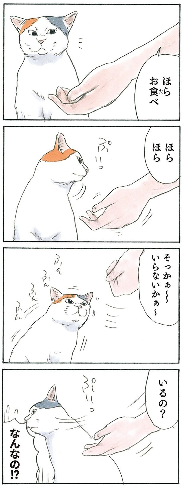 いるの？ いらないの？ （C）にごたろ／KADOKAWA