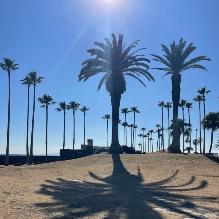 中道さん26年２月ブログ_逗子・鎌倉観光スポット