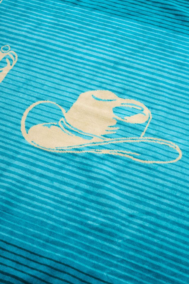 平井大さんを象徴するアイコン（ハット）