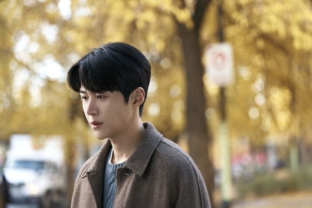 ホジンの静かで優しい眼差しも堪能できる Netflixシリーズ「恋の通訳、できますか？」独占配信中