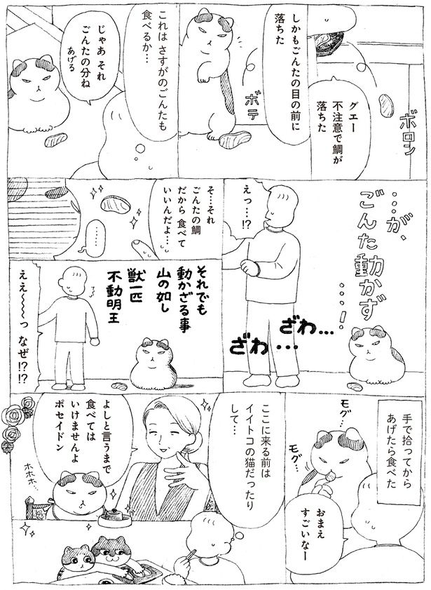 ごんた動かず…！ (C)オイル富／KADOKAWA