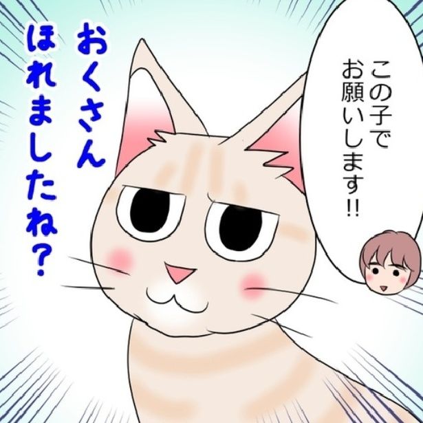猫たちのかわいい姿をスマホで撮影する飼い主