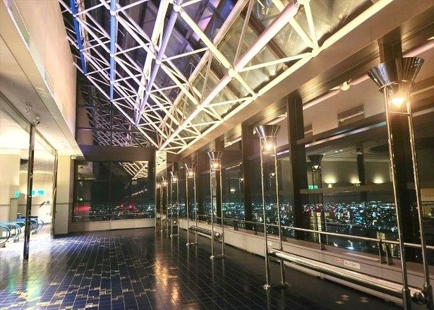 天井までガラス張りのため、昼間も自然光が入り込み、くつろげる空間に！ 画像提供：SS30管理事務所