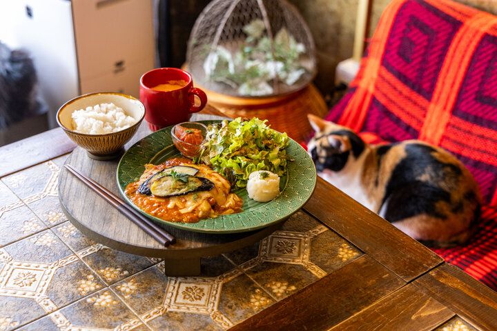 猫と一緒にランチやスイーツを楽しめる♪ 枚方にあるノスタルジックカフェ「猫喫茶ネコブ」