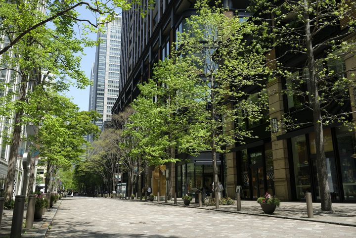 【丸の内仲通り】