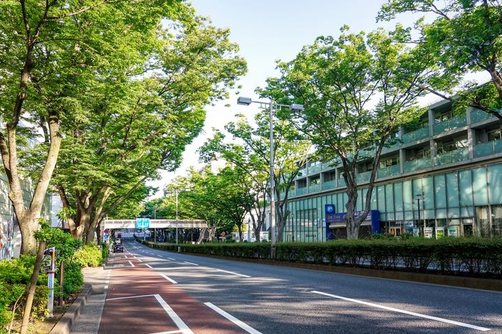 【表参道】（神宮前交差点付近）