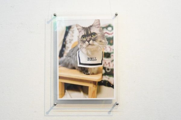 【東京都】猫をモチーフとした文具・雑貨の即売会「にゃん具博 vol.1」閉幕＆第2回の開催決定！