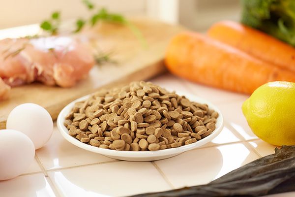 「ドッグフード」と呼ばないで！「THE HUMAN GRADE ぼくのウマウマごはん。」新発売