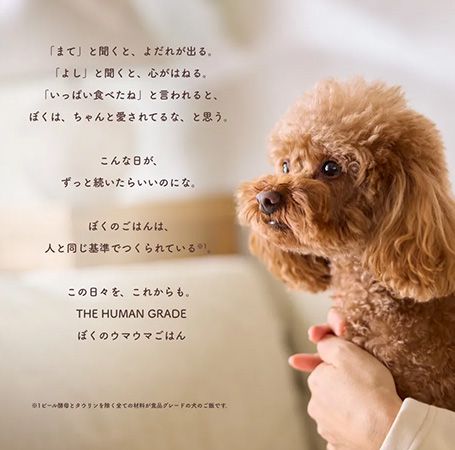 「ドッグフード」と呼ばないで！「THE HUMAN GRADE ぼくのウマウマごはん。」新発売