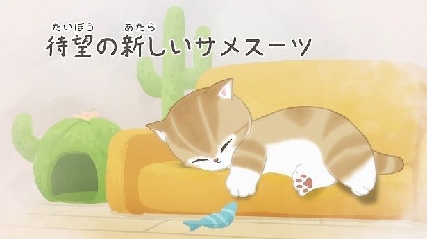 食べ終えたお皿を5枚入れて遊ぼう