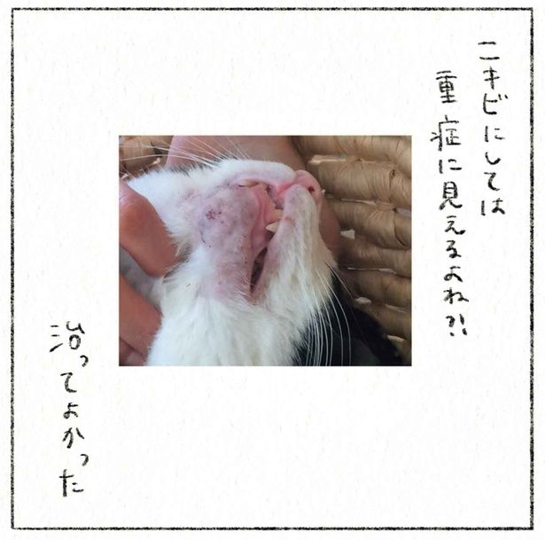 治ってよかった （C）のなか海／KADOKAWA