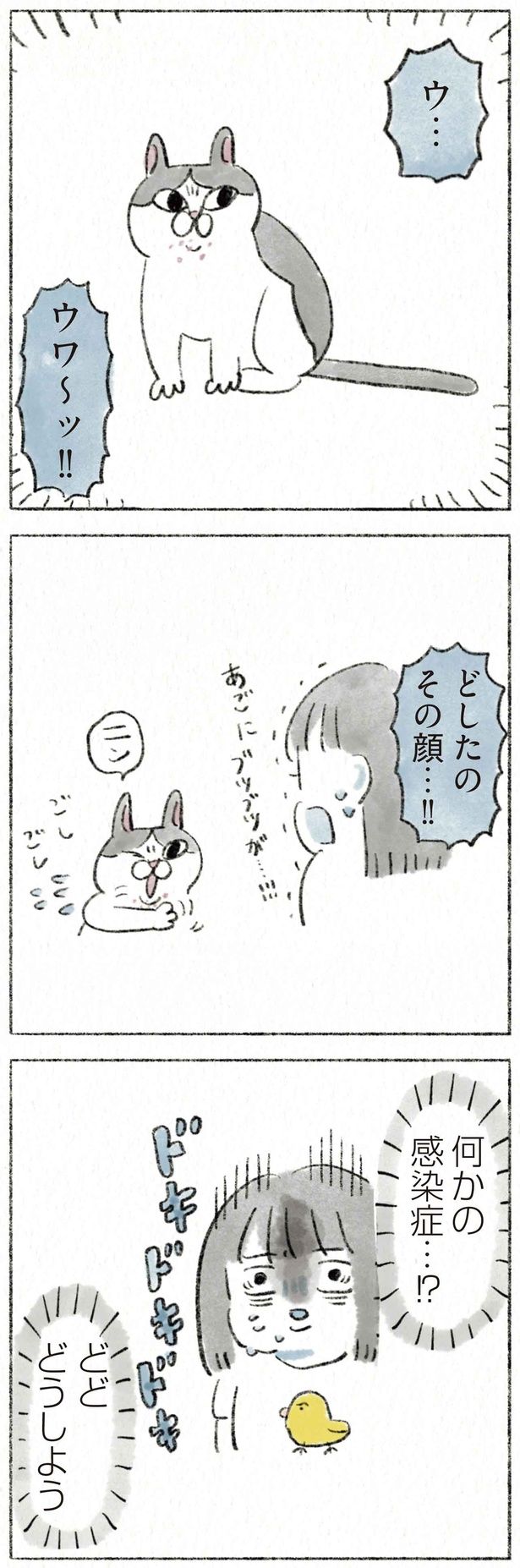 どしたのその顔…！！ （C）のなか海／KADOKAWA