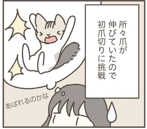 初爪切りに挑戦 (C)つゆちゃんの飼い主／KADOKAWA