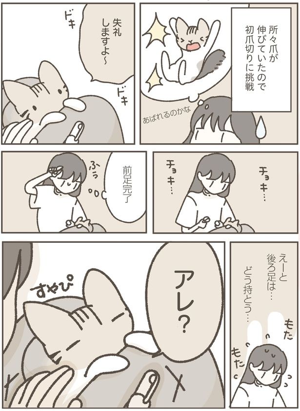 失礼しますよ～ (C)つゆちゃんの飼い主／KADOKAWA