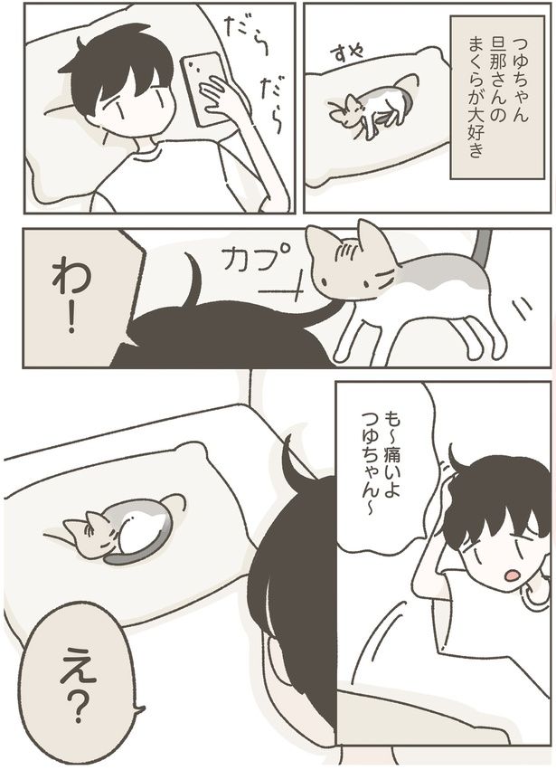 旦那さんのまくらが大好き (C)つゆちゃんの飼い主／KADOKAWA