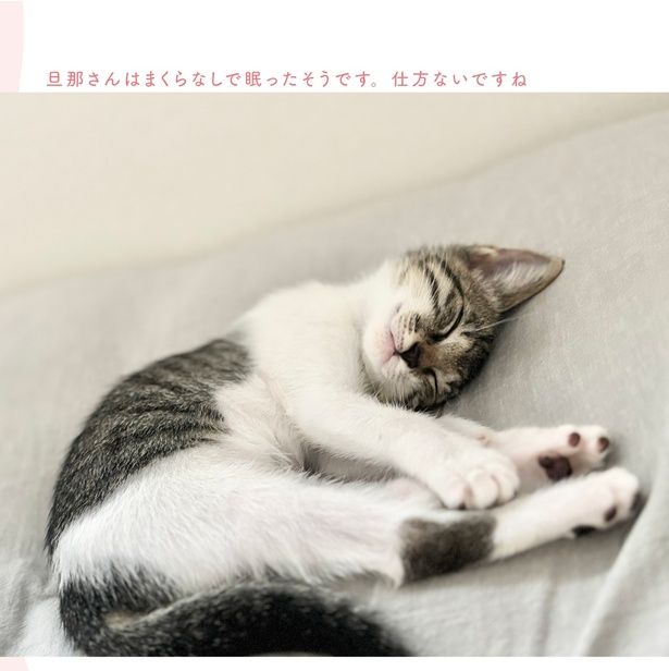 仕方ないですね (C)つゆちゃんの飼い主／KADOKAWA