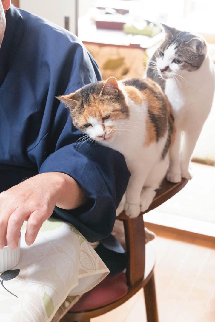 なるほど、そうやるんだ〜