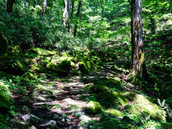 All About ニュース編集部が全国250人を対象に実施した「岡山県の自治体に関するアンケート」の調査結果から、「読むのが難しいと思う岡山県の自治体」ランキングを発表！ 2位「西粟倉村」を抑えた1位は？