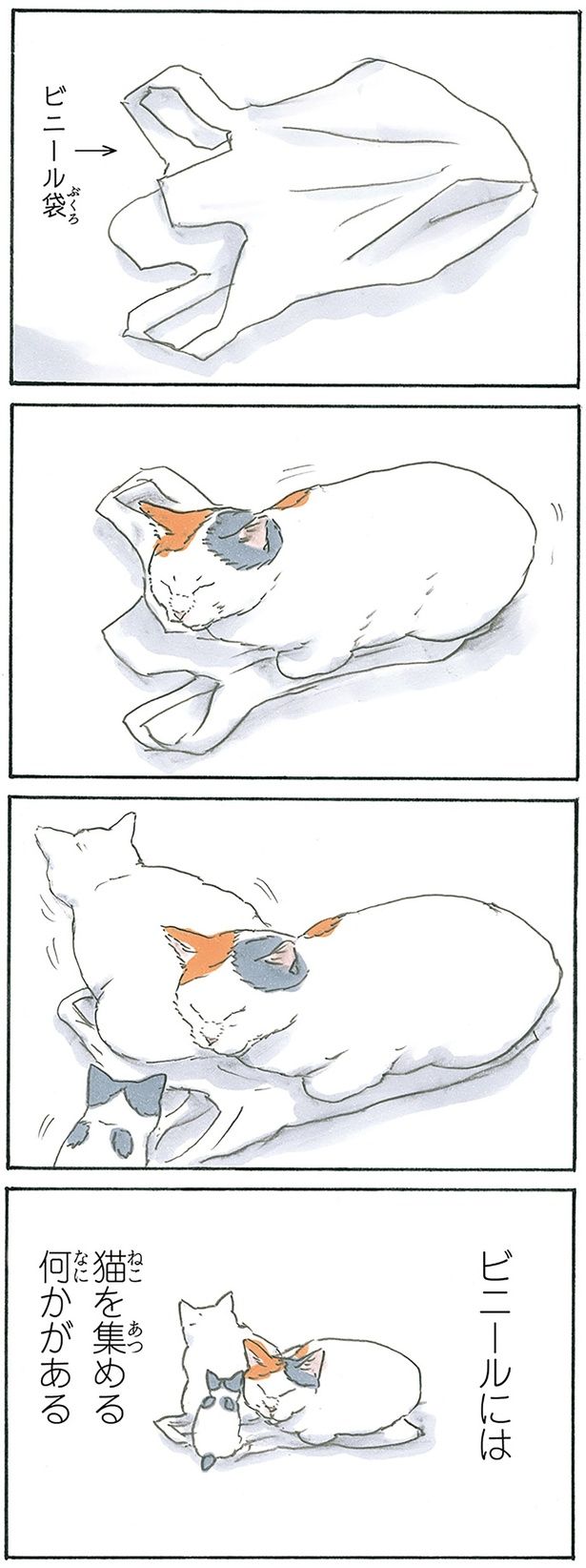 猫ホイホイ （C）にごたろ／KADOKAWA