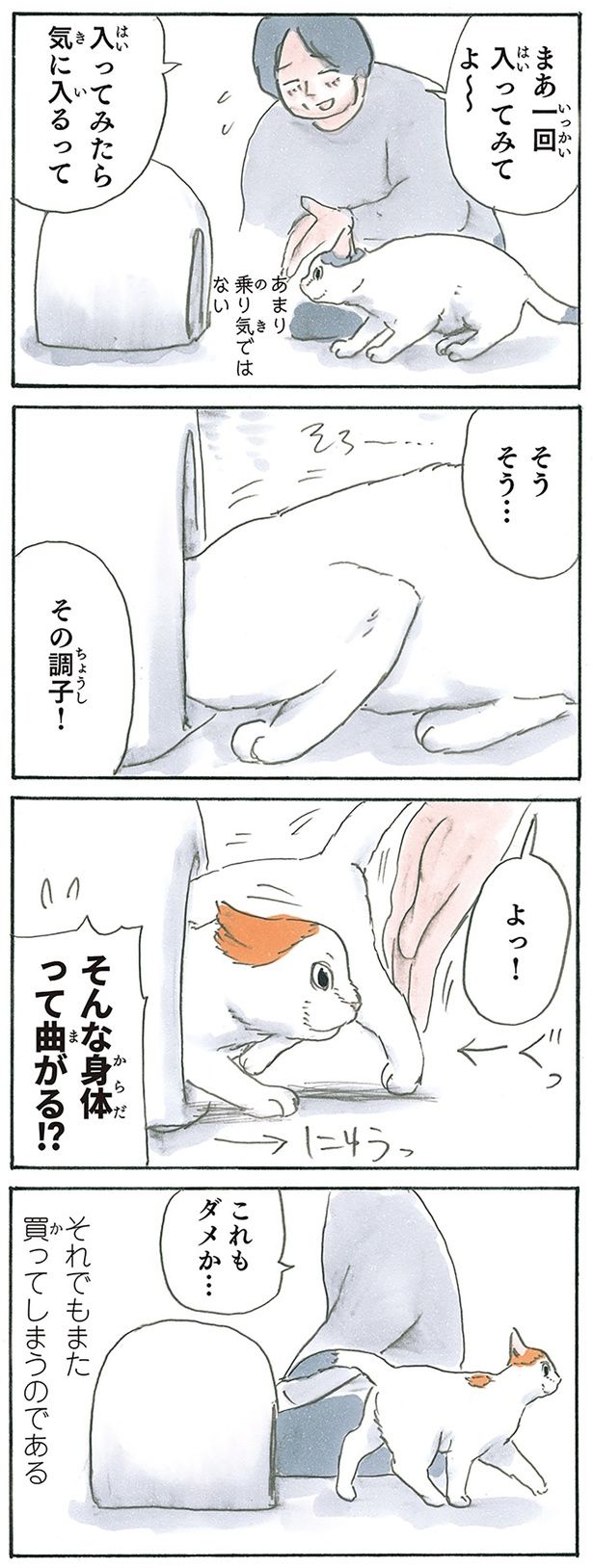 それでも買っちゃった （C）にごたろ／KADOKAWA