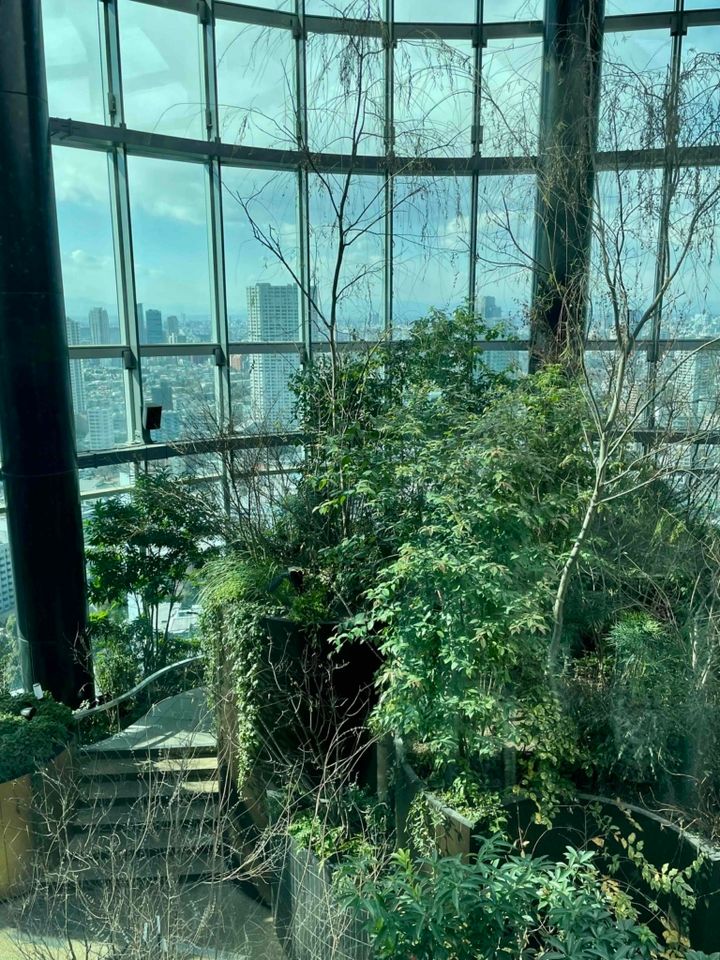 鈴木恵さん2月ブログ⑤