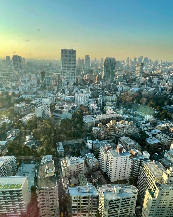 鈴木恵さん2月ブログ⑮