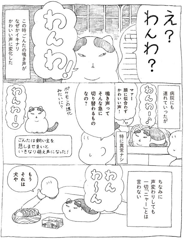 え？わんわ？ (C)オイル富／KADOKAWA