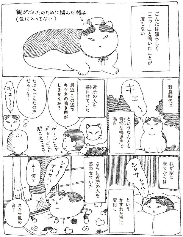 「ニャー」と鳴いたことが一度もない (C)オイル富／KADOKAWA