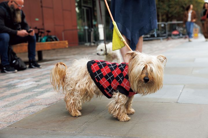 街中どこを見ても誰を見てもオシャレ！ロンドンの「赤」の上手な取り入れ方
