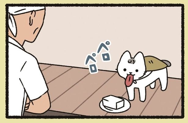 新作の試食担当？ 豆腐屋さんで飼われている「とうふこぞう」の仕事っぷり （C）ぱんだにあ／竹書房