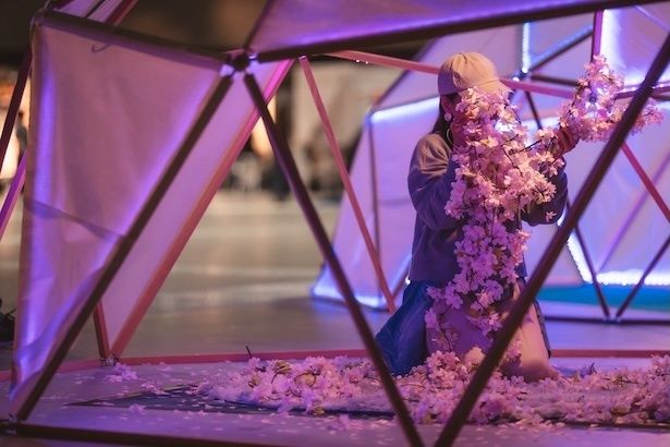 フォトスポットイメージ