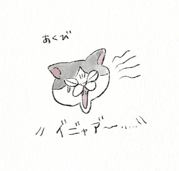 あくび （C）のなか海／KADOKAWA