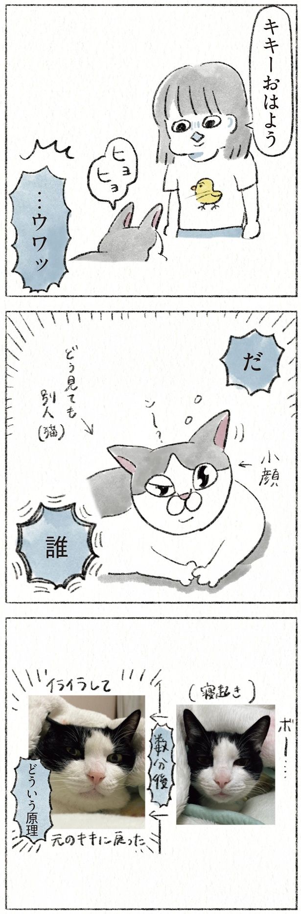 どう見ても別人（猫） （C）のなか海／KADOKAWA