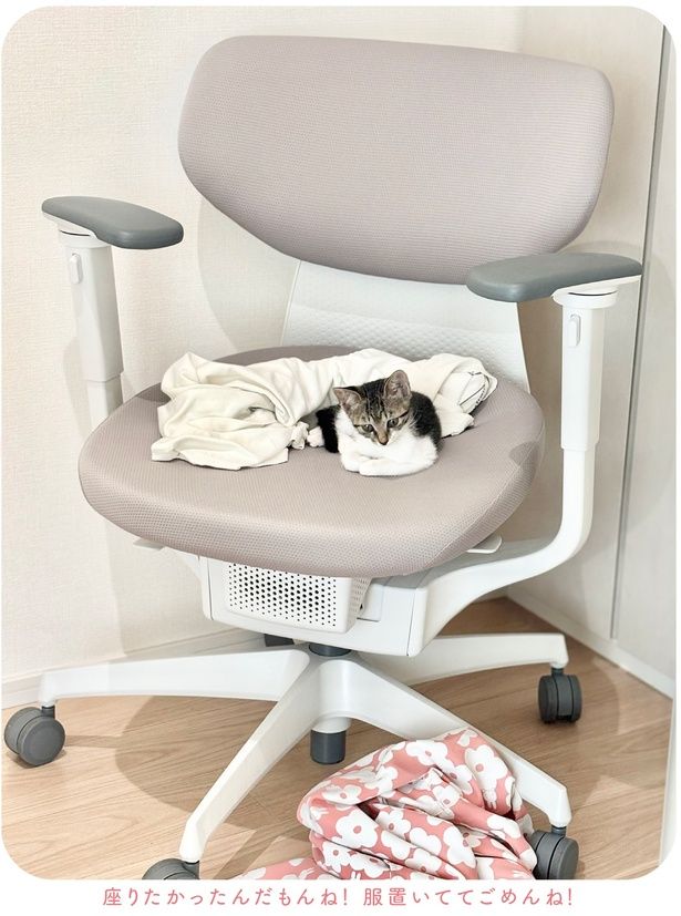 座りたかったんだもんね！ (C)つゆちゃんの飼い主／KADOKAWA