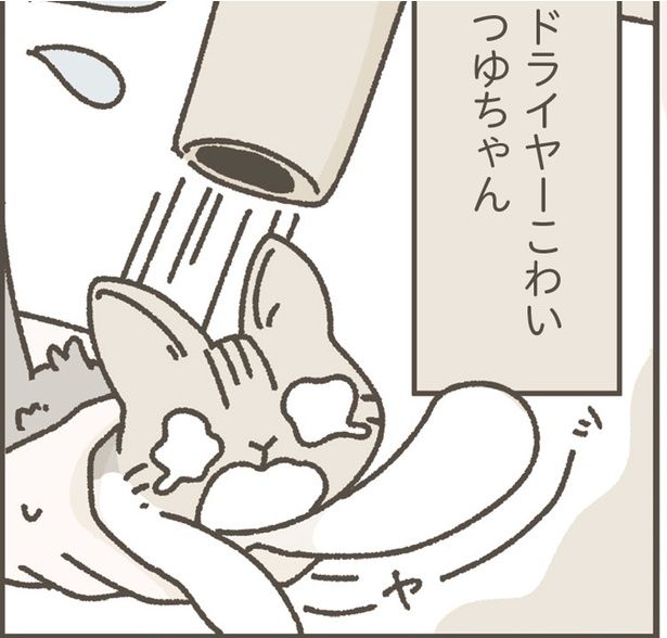 ドライヤーこわいつゆちゃん (C)つゆちゃんの飼い主／KADOKAWA