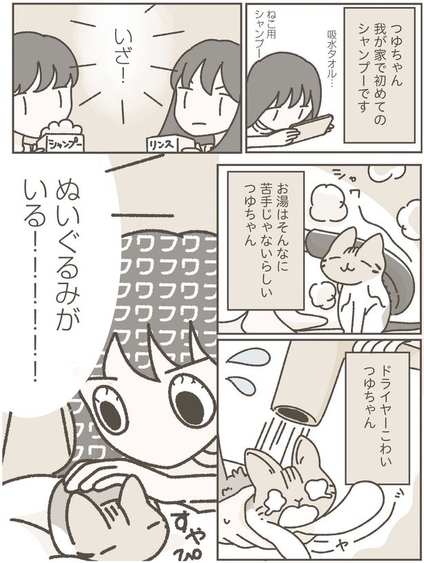 初めてのシャンプーです (C)つゆちゃんの飼い主／KADOKAWA