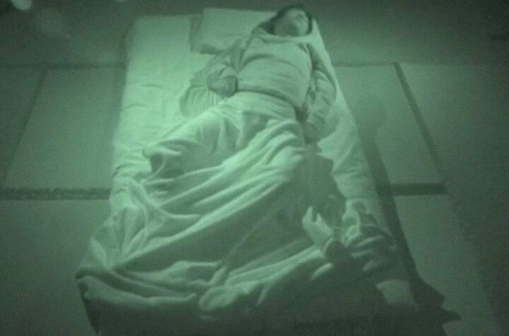 探偵！ナイトスクープ