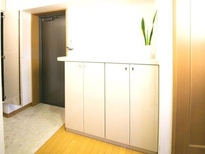 30分で玄関のいやなニオイを完全に消す方法！おうちにあるモノですぐに作れますよ♪