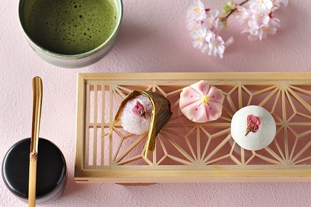 野点セットと桜の和菓子