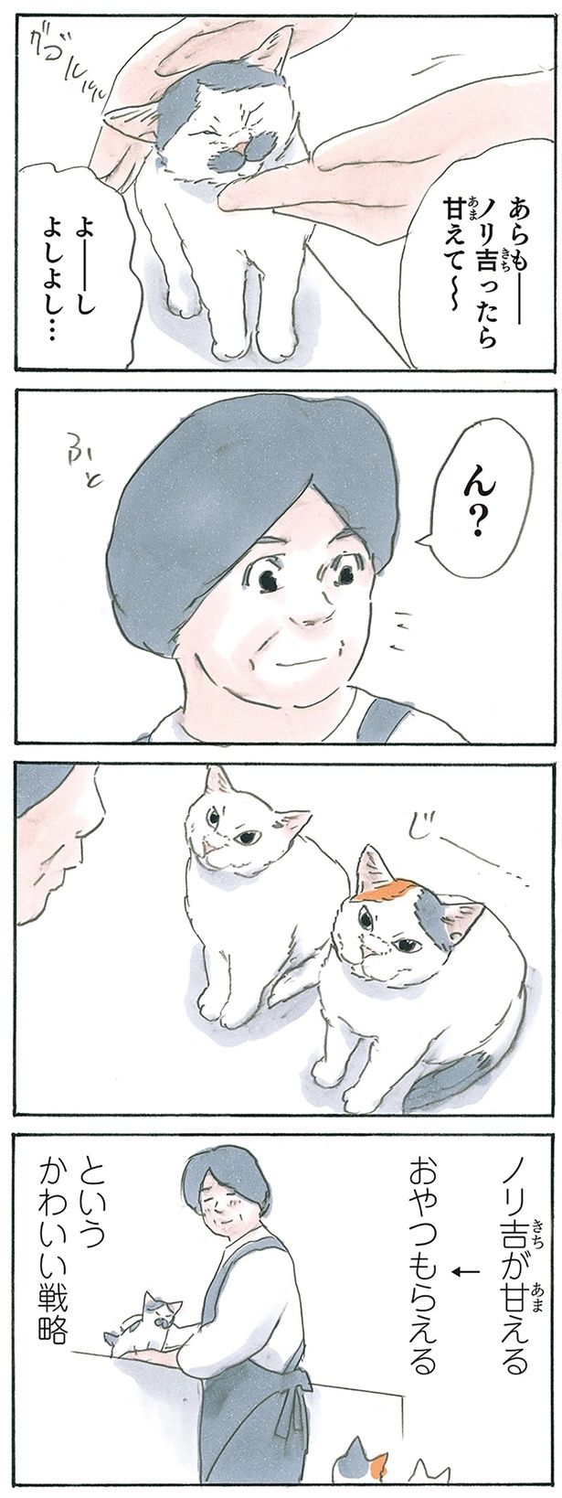 ノリ吉システム （C）にごたろ／KADOKAWA