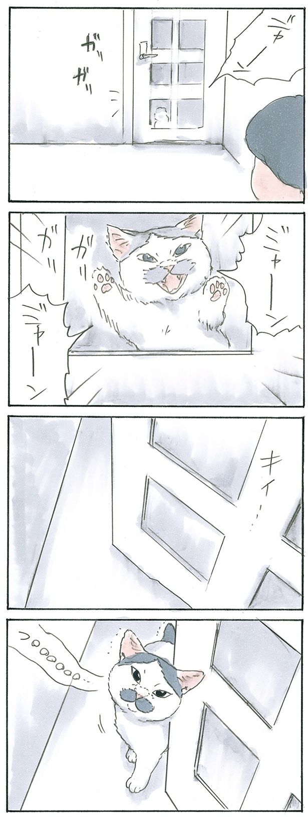 僕だよっ （C）にごたろ／KADOKAWA