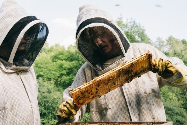 養蜂を行うテディは、ミツバチの減少は陰謀によるものだと主張 [c]2025 FOCUS FEATURES LLC.