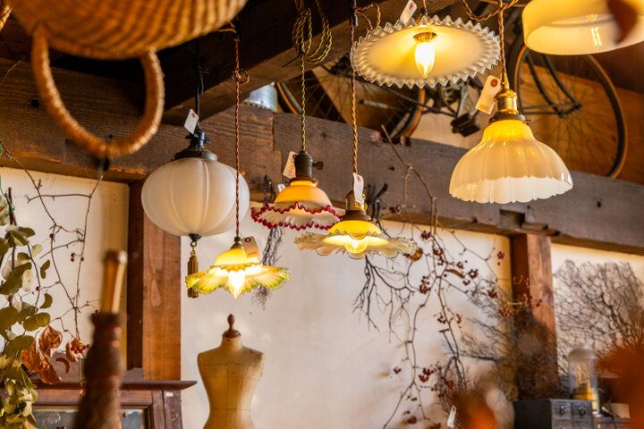 猫店長＆猫バイトがご案内♪ 古道具や猫モチーフの雑貨も見つかる枚方の「古道具dongri」 