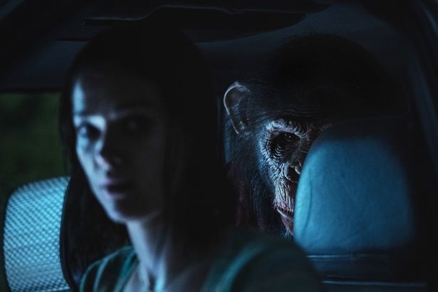 狂犬病×チンパンジー×密室！『おさるのベン』監督にインタビュー！ [c]2025 Paramount Pictures. All Rights Reserved.