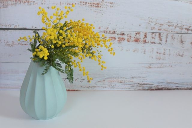 花瓶にいけたミモザ