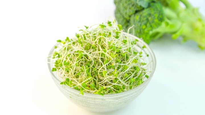 ブロッコリースプラウト